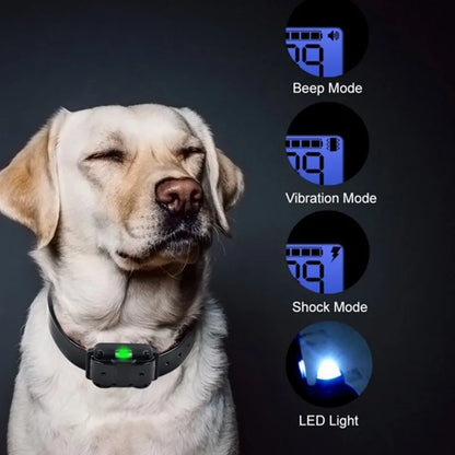 Collar eléctrico para perros Collar de entrenamiento para perros Recargable con pantalla LCD para collar de entrenamiento para mascotas de todos los tamaños