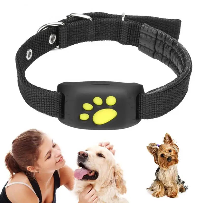 GPS-Haustier-Tracker