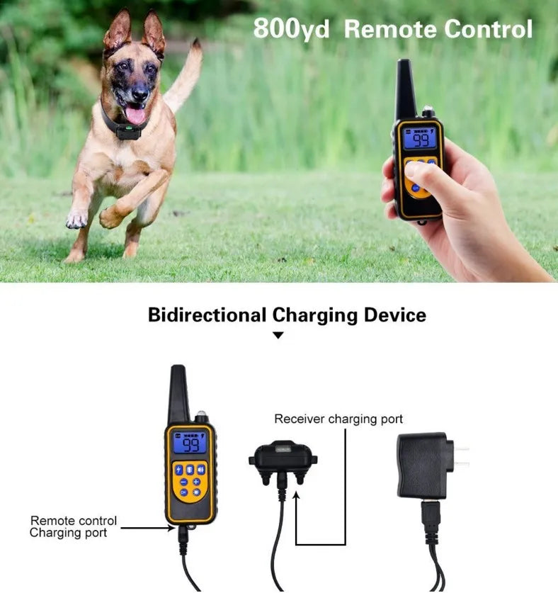 Collar eléctrico para perros Collar de entrenamiento para perros Recargable con pantalla LCD para collar de entrenamiento para mascotas de todos los tamaños