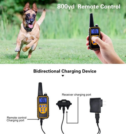 Collar eléctrico para perros Collar de entrenamiento para perros Recargable con pantalla LCD para collar de entrenamiento para mascotas de todos los tamaños