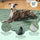 Tapis humain en forme de feuille et couverture pour chien