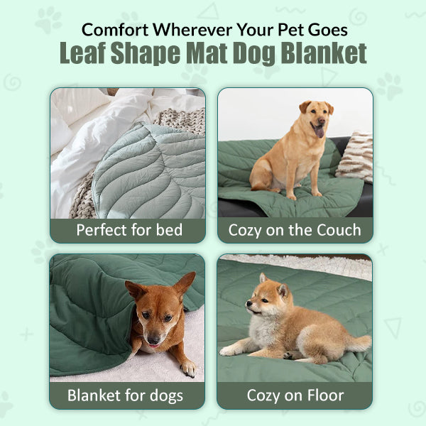 Tapis humain en forme de feuille et couverture pour chien