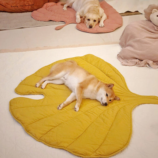 Couverture pour chien confortable en forme de feuille