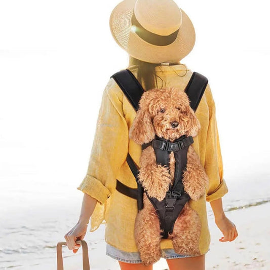 Ventayo – Pet Carrier Cockpit | Waterproof Dog & Cat Carrier Backpack with Adjustable Fit for Comfortable Travel