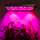 Plantengroeilampen LED groeilamp