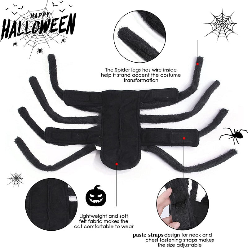 Black Spider Pet Costume – Ventayo