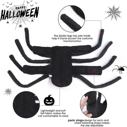 Black Spider Pet Costume – Ventayo