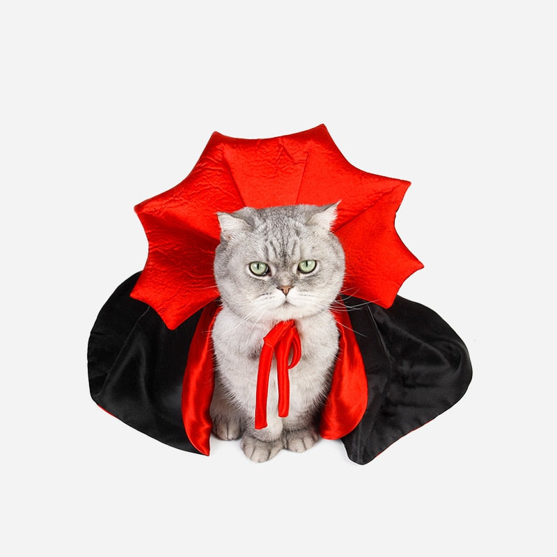 Vampire Cat Halloween Costume – Ventayo