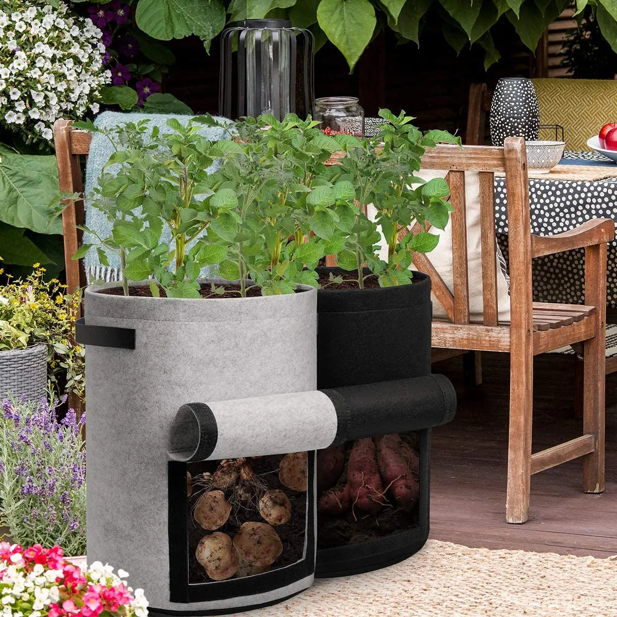Felt Plant Grow Bags – 3 Sizes Available