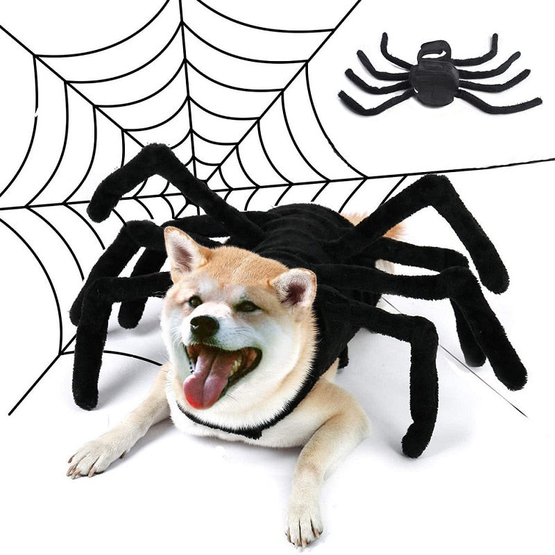 Black Spider Pet Costume – Ventayo