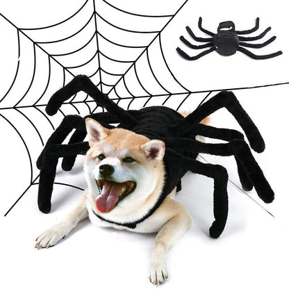 Black Spider Pet Costume – Ventayo