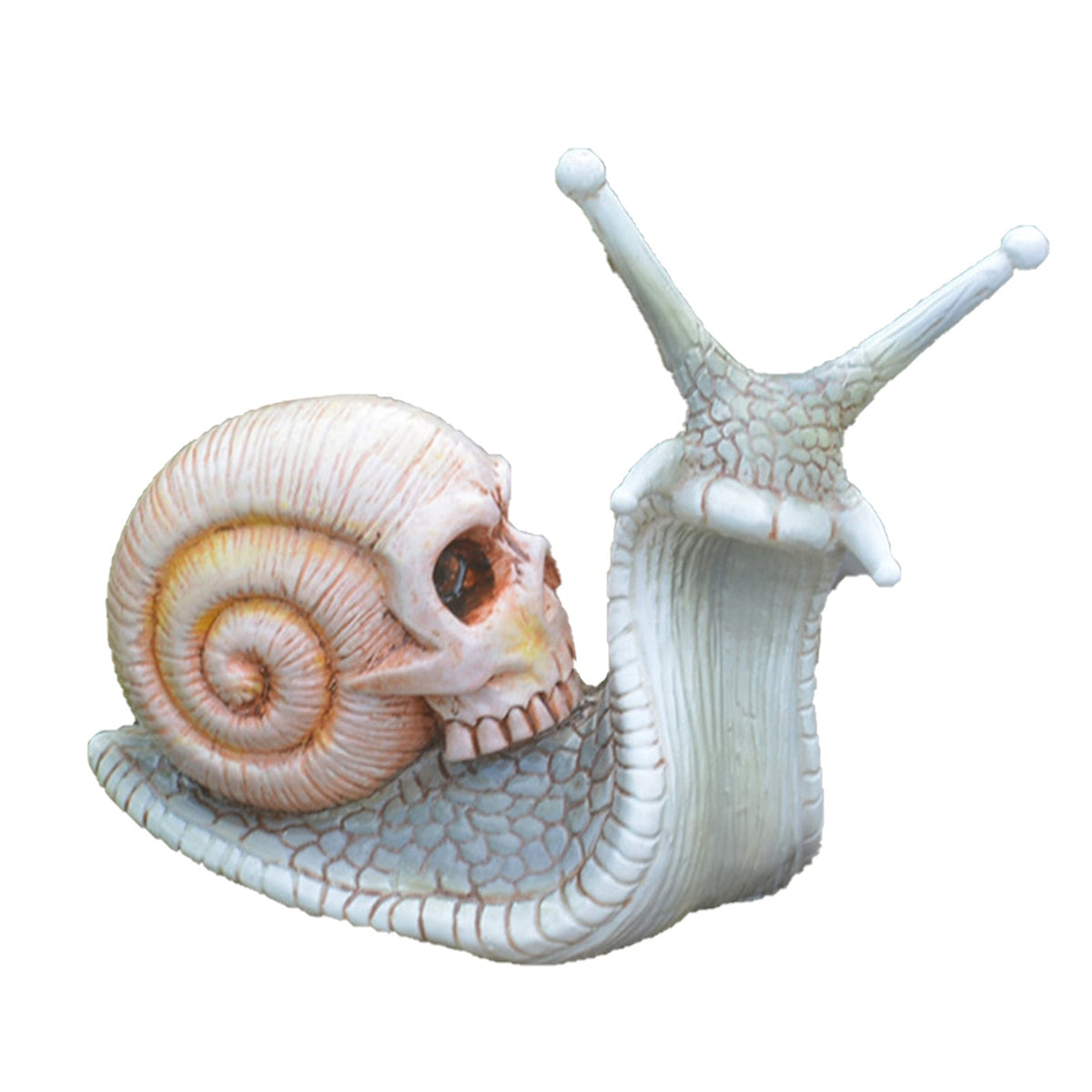 Snail Skull Halloween Patio Sculpture – Ventayo