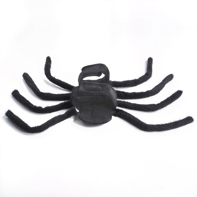 Black Spider Pet Costume – Ventayo