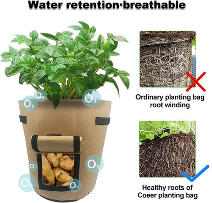 Felt Plant Grow Bags – 3 Sizes Available