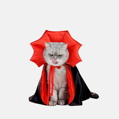 Vampire Cat Halloween Costume – Ventayo