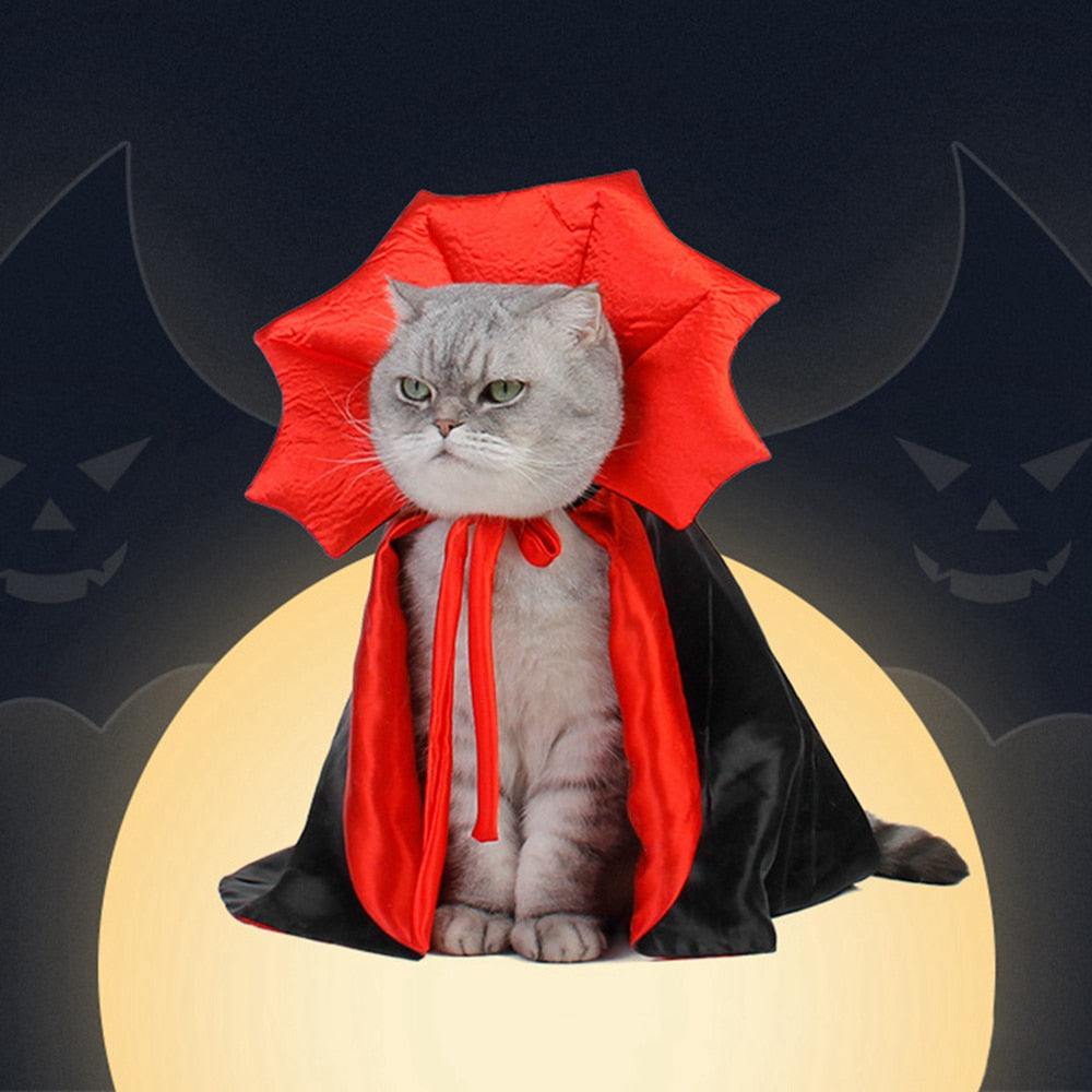 Vampire Cat Halloween Costume – Ventayo