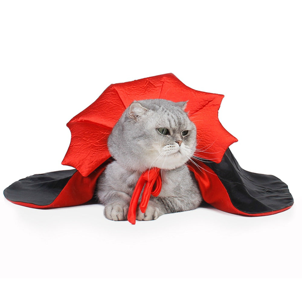 Vampire Cat Halloween Costume – Ventayo