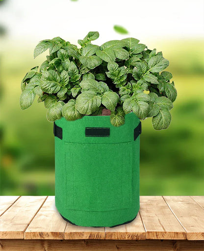 Felt Plant Grow Bags – 3 Sizes Available