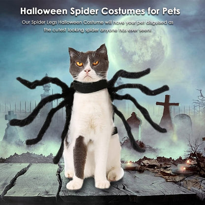 Black Spider Pet Costume – Ventayo