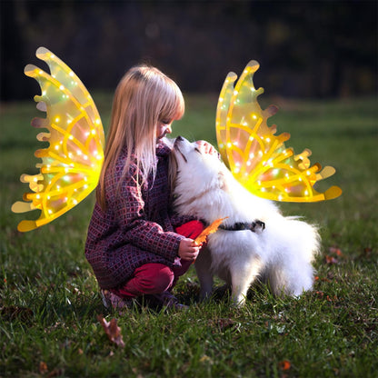 WonderLand Electric Colorful Kids / Adults LED Fairy Wings Costume