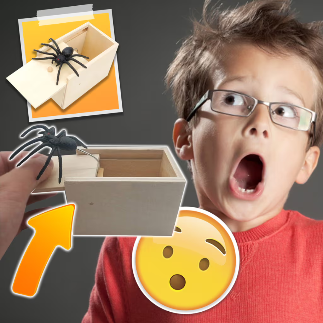 The Ultimate Spider Prank Box – Ventayo