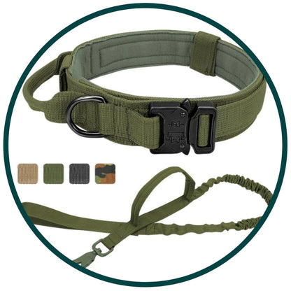 Hernaðarhalsband og taumur