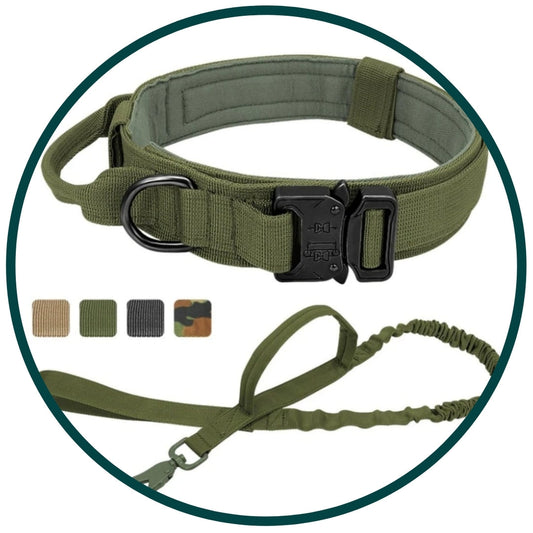 Hernaðarhalsband og taumur