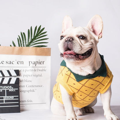 Pull pour animal en ananas