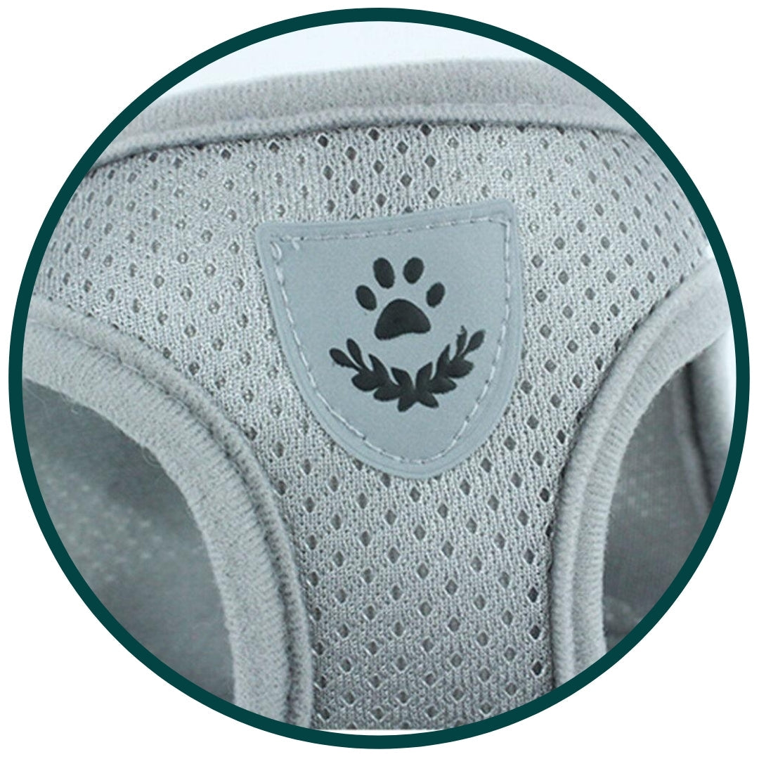 Pettorina e guinzaglio per cane Bouboo