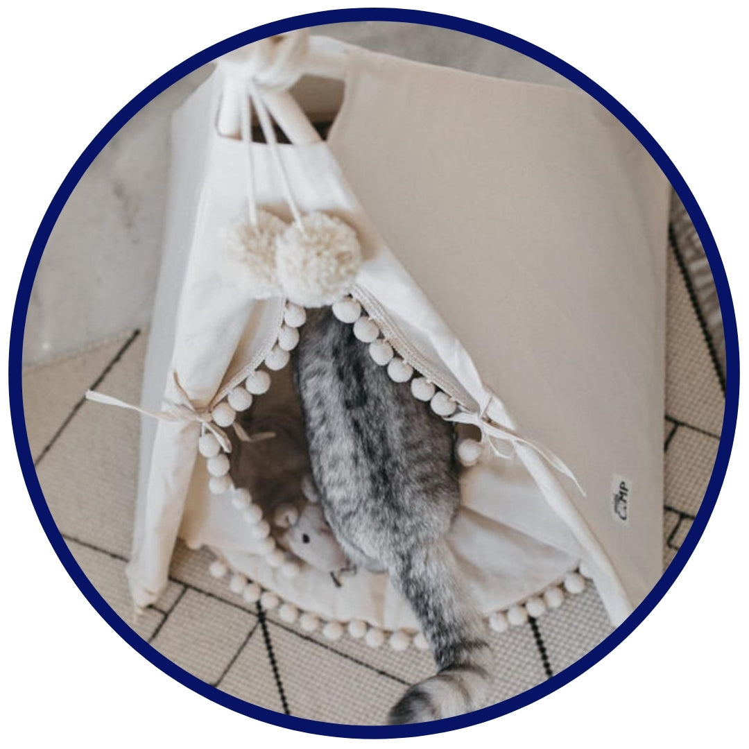 Bohemsk kjæledyr TeePee