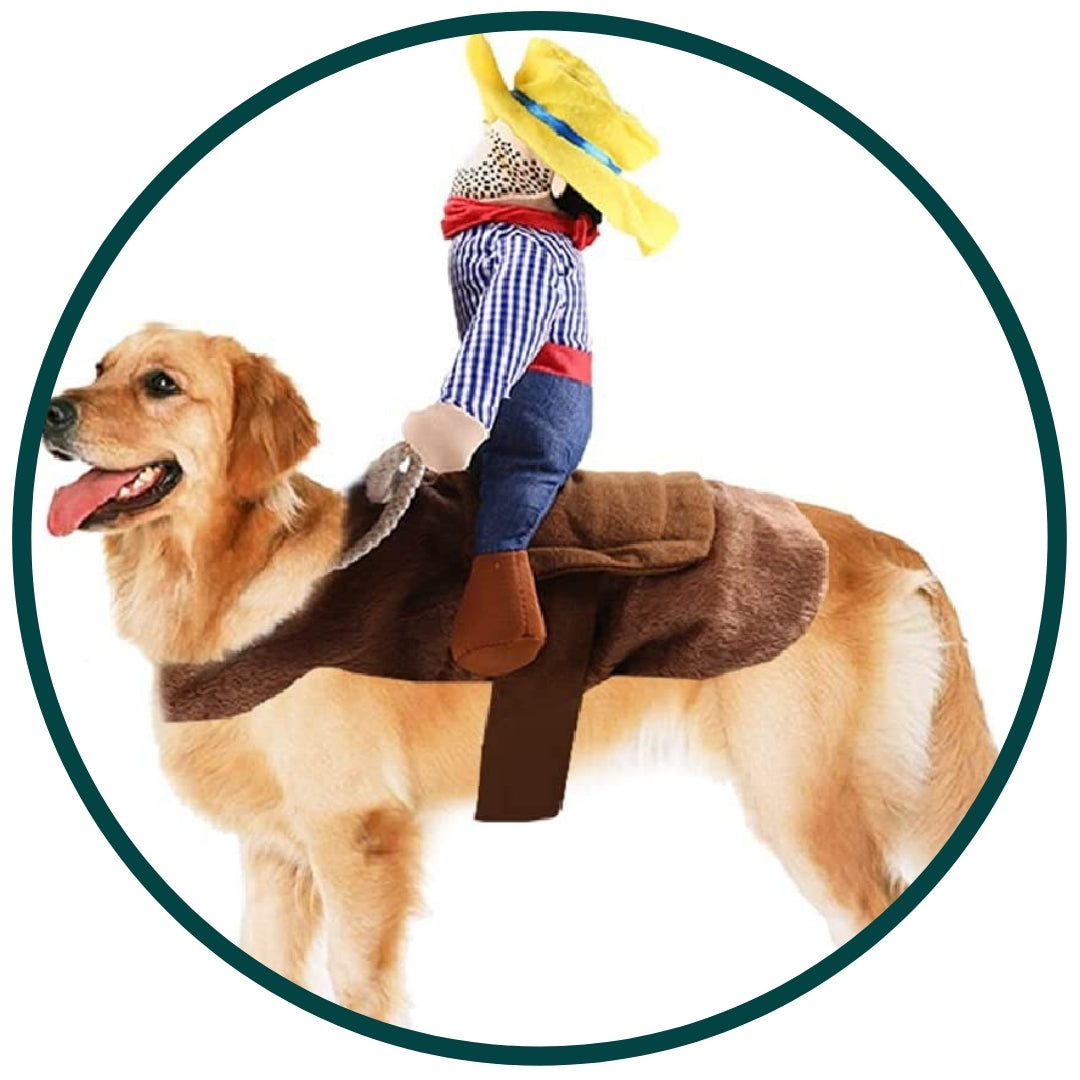 Maskeradkläder: Cowboy