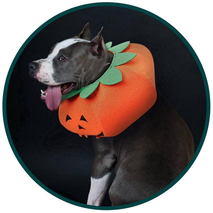 Maskeraddräkt: Pumpa