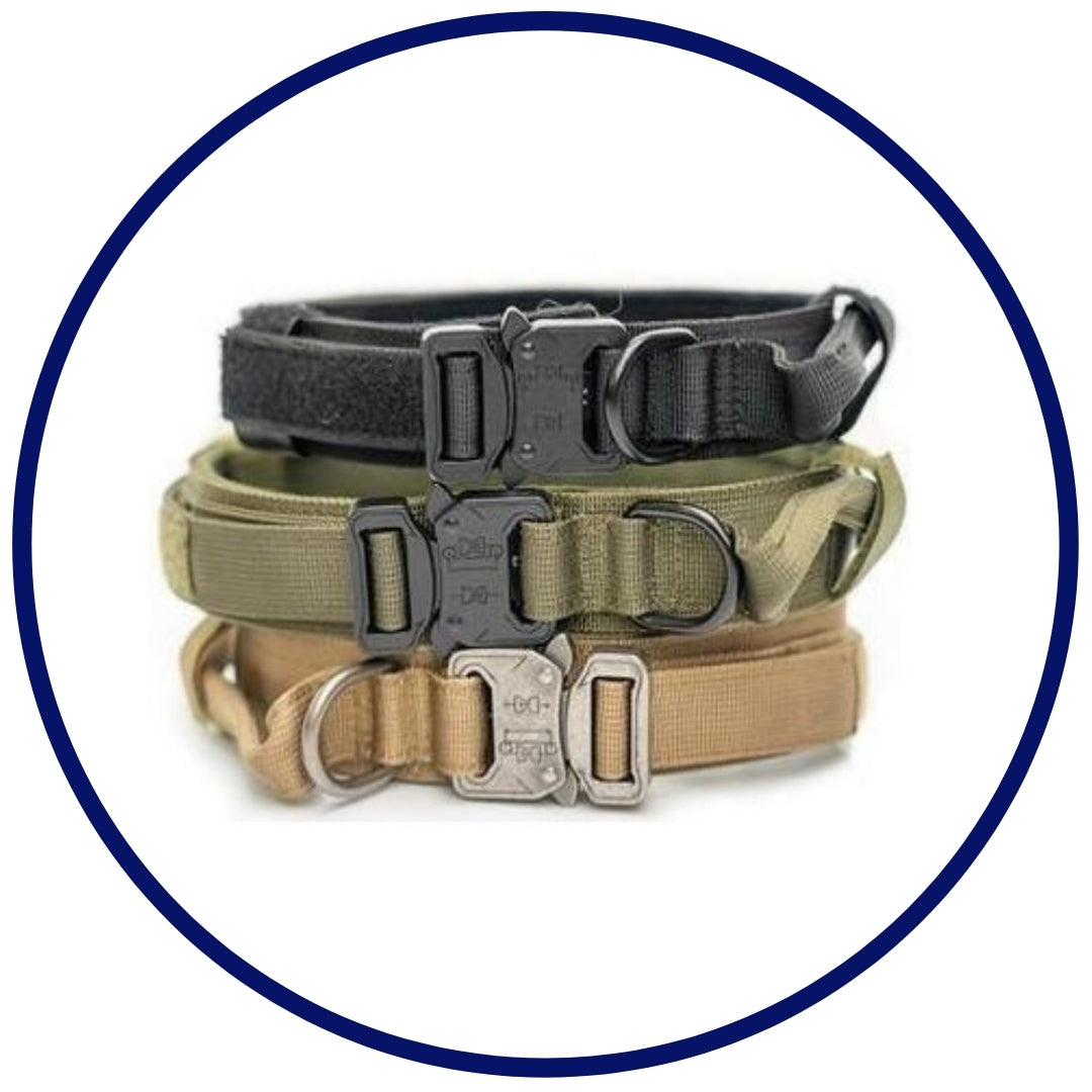 Hernaðarhalsband og taumur