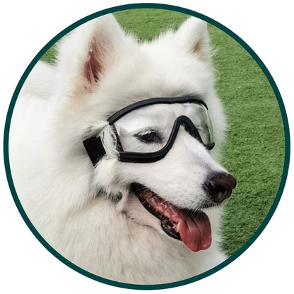 Hundebriller