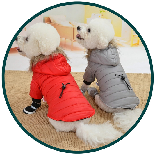 Light and Warm Coat