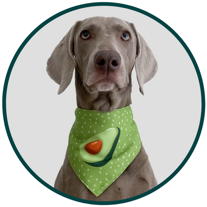 Avocado Scarf