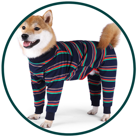 Pyjamas pour chien