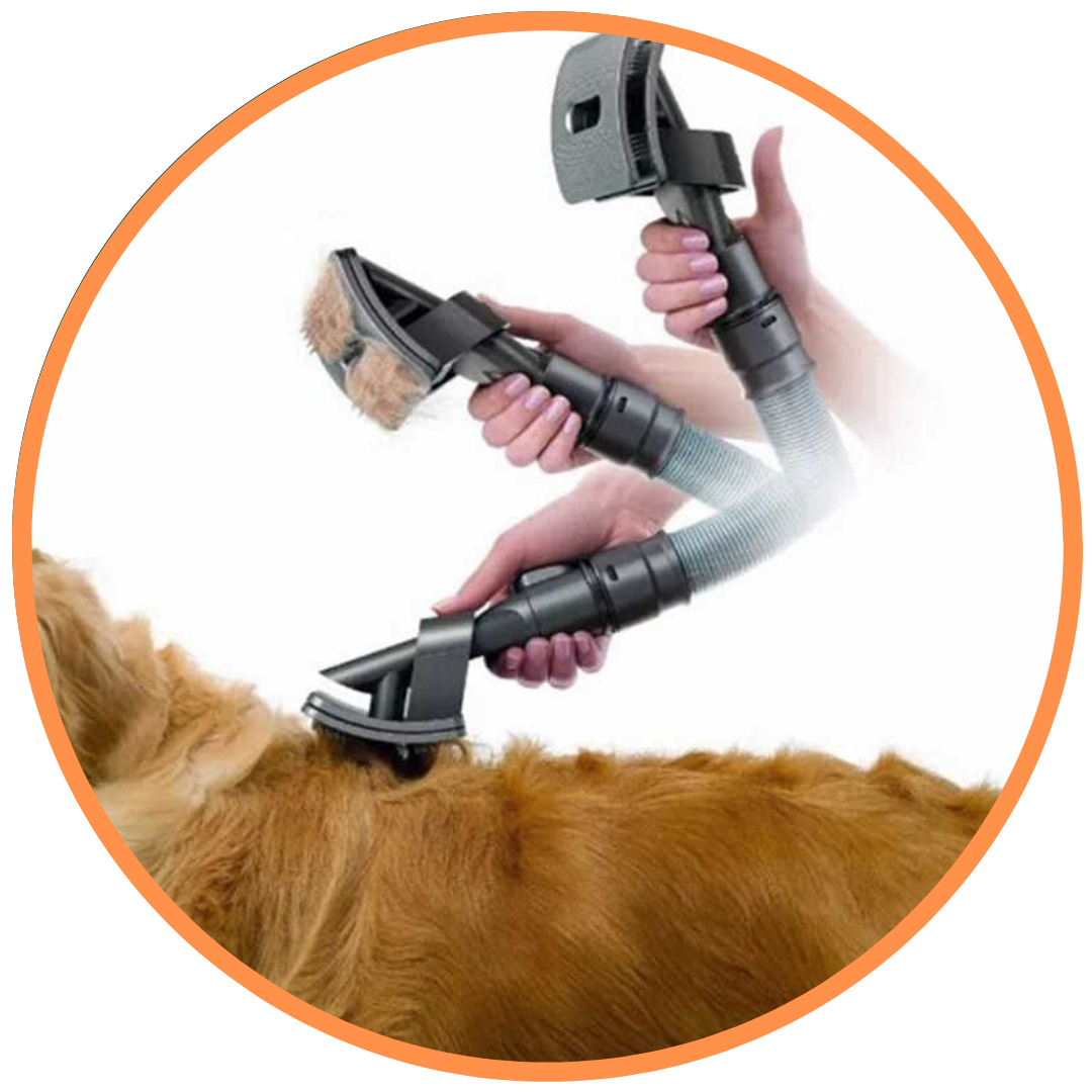 Accessoire brosse de toilettage (Dyson)