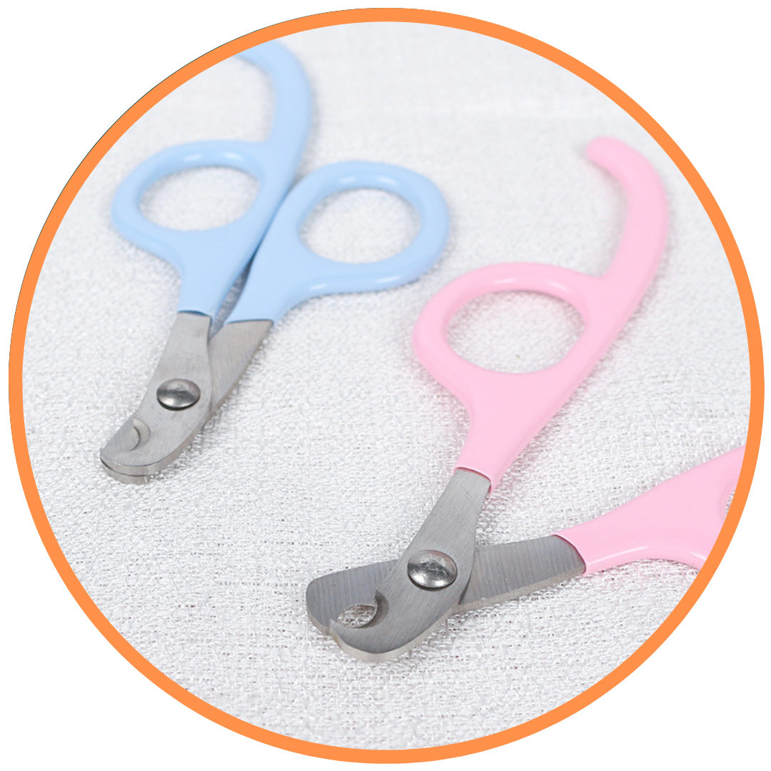 Stainless Steel Pet Nail Clippers