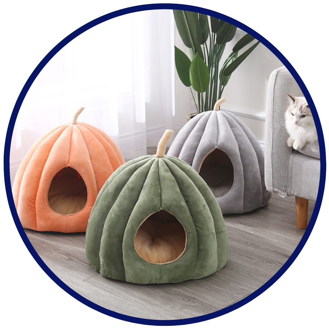 Casa Calabaza
