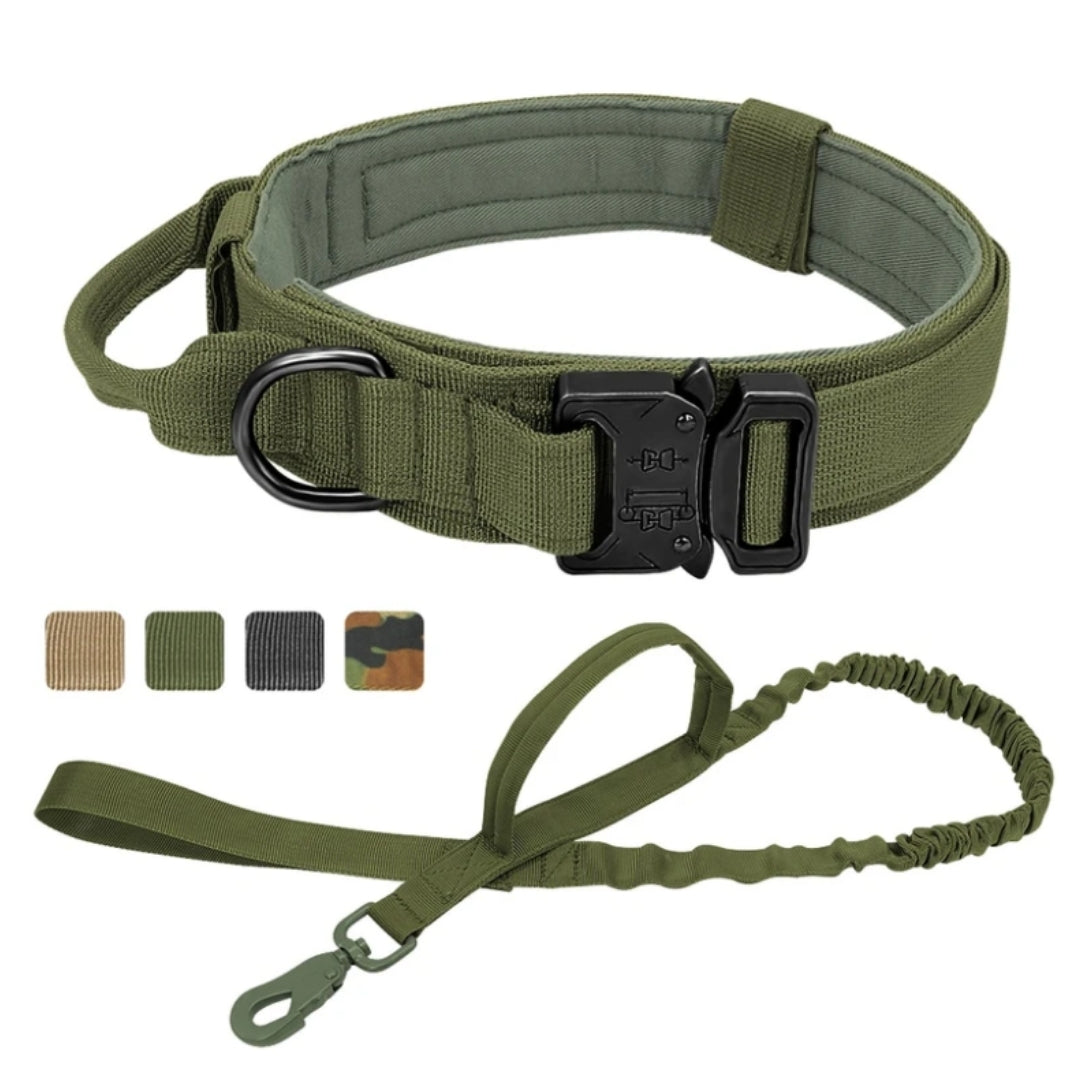 Hernaðarhalsband og taumur