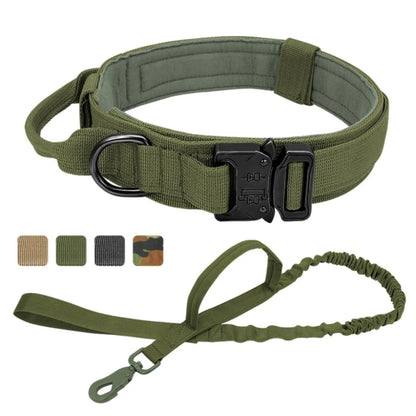 Hernaðarhalsband og taumur
