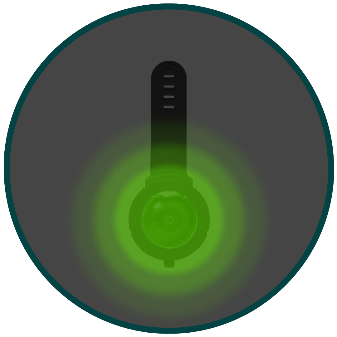 Pet Safety Light