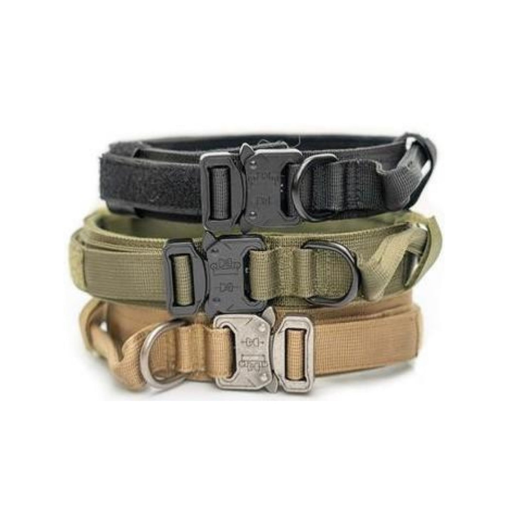 Hernaðarhalsband og taumur