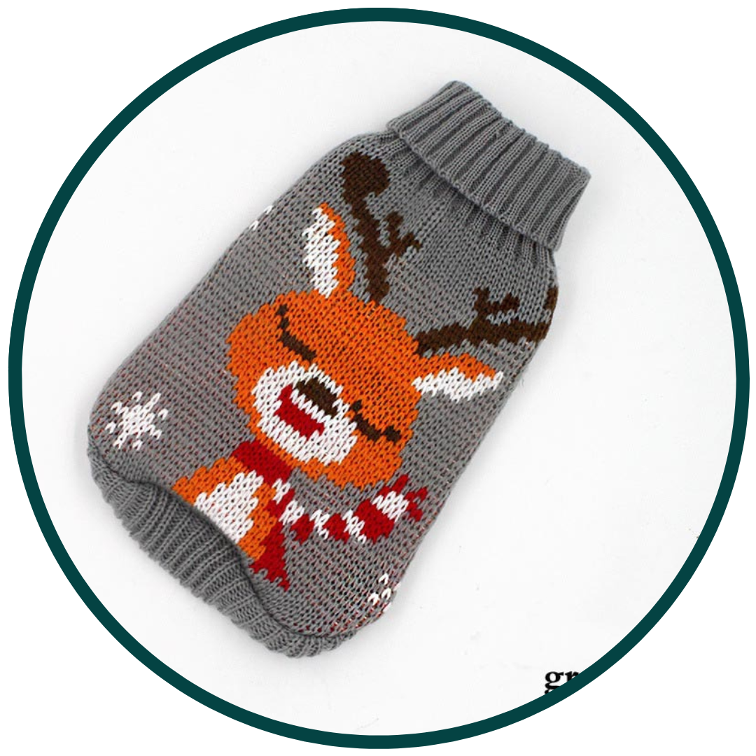 Petit pull pour chien en laine