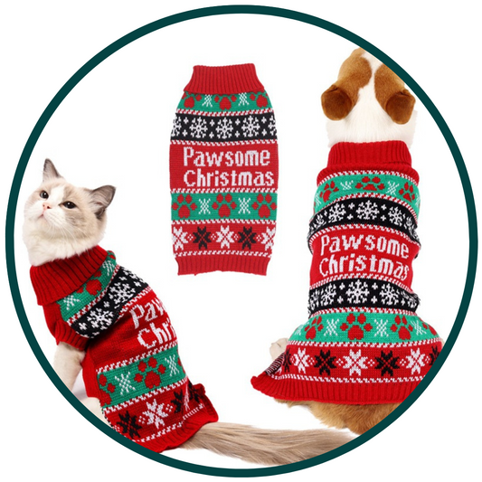 Pull de Noël Pawsome