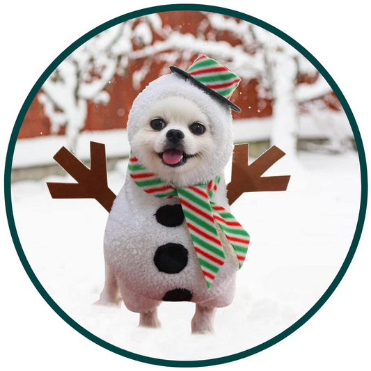 Snögubbe Kläder