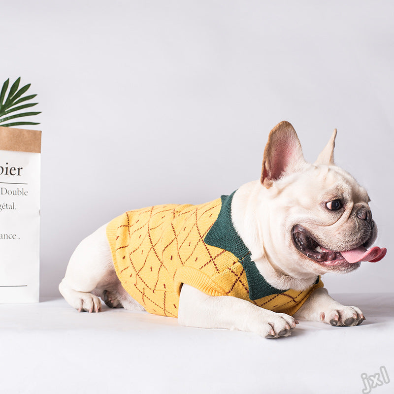 Pull pour animal en ananas