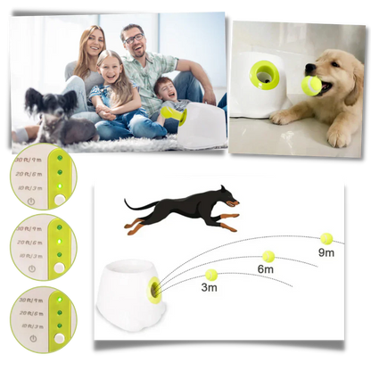 Automatic Dog Ball Launcher