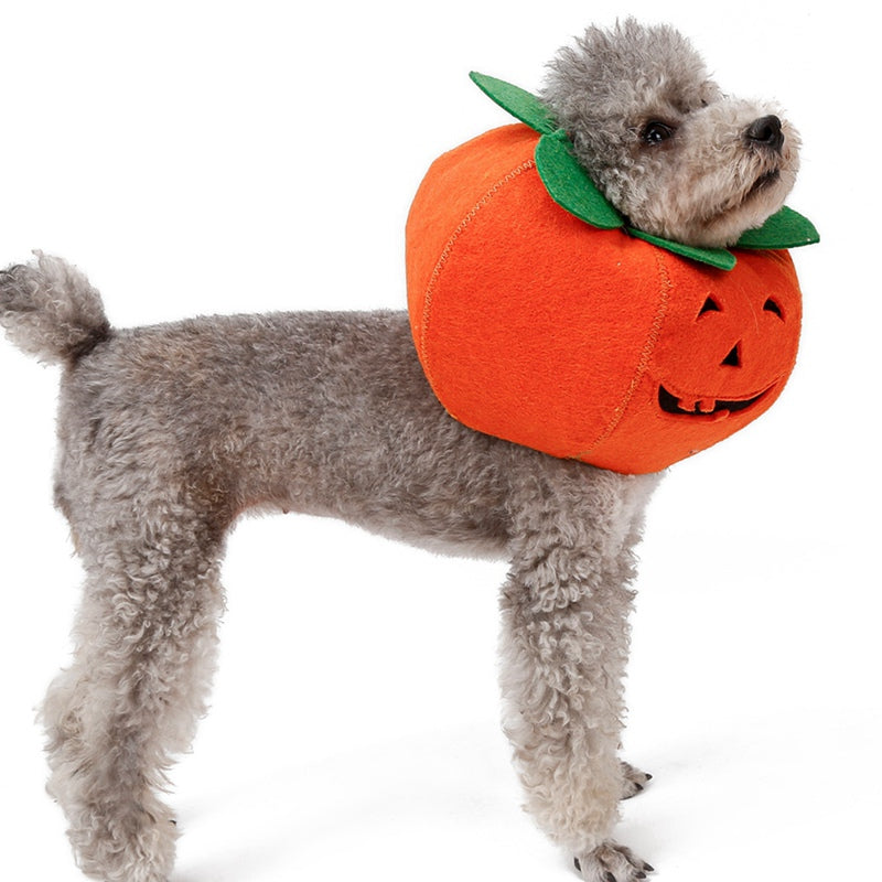 Maskeraddräkt: Pumpa